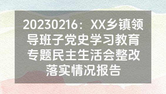 20230216：XX乡镇领导班子党史学习教育专题民主生活会整改落实情况报告