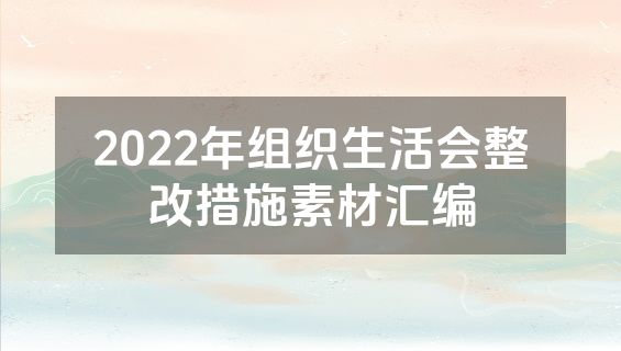 2022年组织生活会整改措施素材汇编
