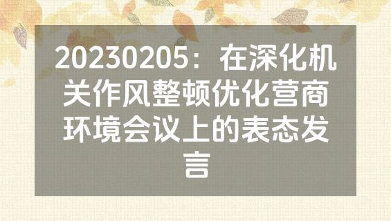 20230205：在深化机关作风整顿优化营商环境会议上的表态发言
