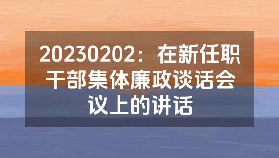 20230202：在新任职干部集体廉政谈话会议上的讲话