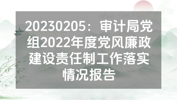 20230205：审计局党组2022年度党风廉政建设责任制工作落实情况报告