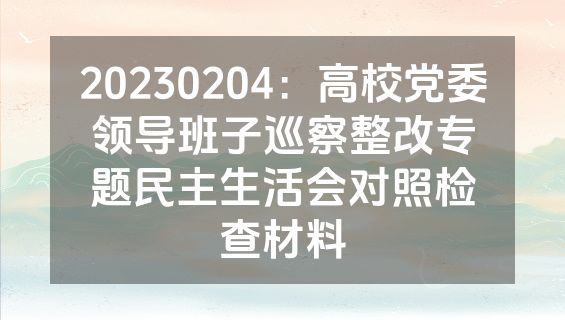 20230204：高校党委领导班子巡察整改专题民主生活会对照检查材料