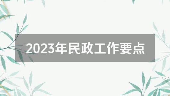 2023年民政工作要点