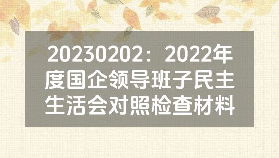 20230202：2022年度国企领导班子民主生活会对照检查材料