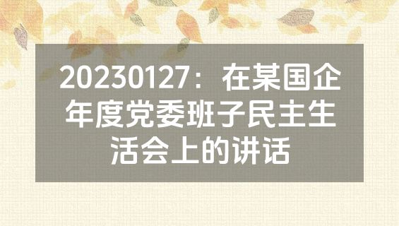 20230127：在某国企年度党委班子民主生活会上的讲话