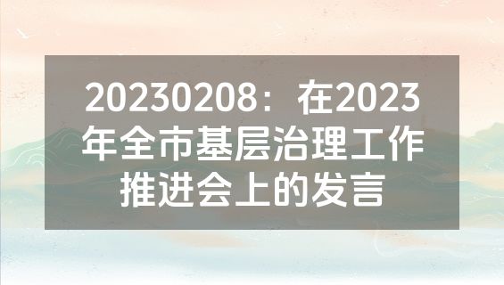 20230208：在2023年全市基层治理工作推进会上的发言