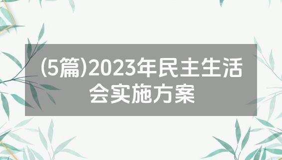 (5篇)2023年民主生活会实施方案