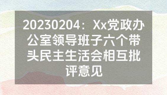 20230204：Xx党政办公室领导班子六个带头民主生活会相互批评意见