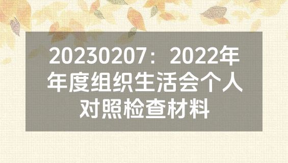 20230207：2022年年度组织生活会个人对照检查材料