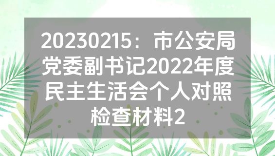 20230215：市公安局党委副书记2022年度民主生活会个人对照检查材料2