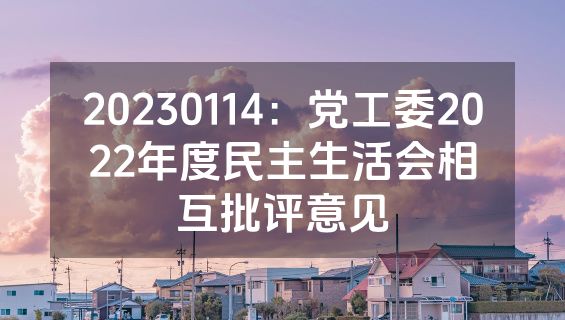 20230114：党工委2022年度民主生活会相互批评意见