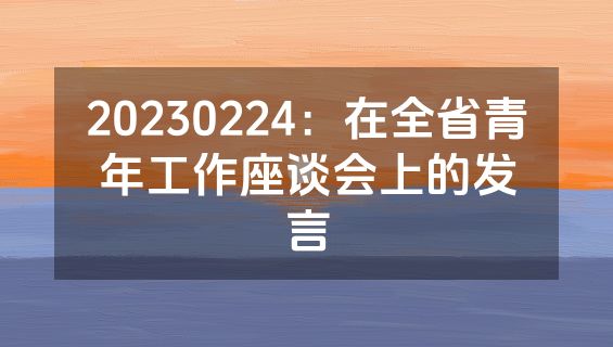20230224：在全省青年工作座谈会上的发言