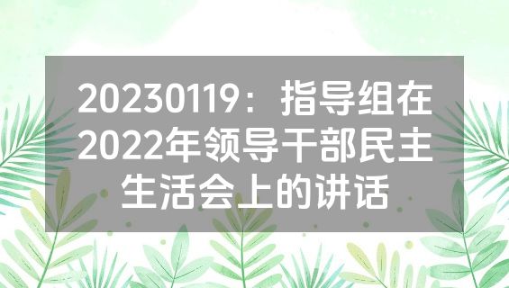 20230119：指导组在2022年领导干部民主生活会上的讲话