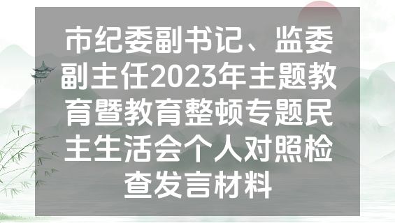 市纪委副书记、监委副主任2023年主题教育暨教育整顿专题民主生活会个人对照检查发言材料