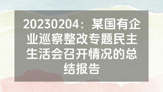 20230204：某国有企业巡察整改专题民主生活会召开情况的总结报告