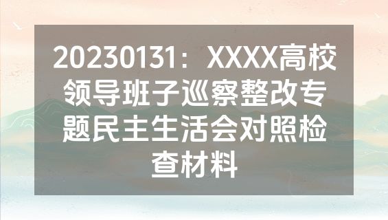 20230131：XXXX高校领导班子巡察整改专题民主生活会对照检查材料