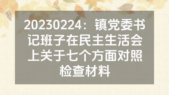20230224：镇党委书记班子在民主生活会上关于七个方面对照检查材料
