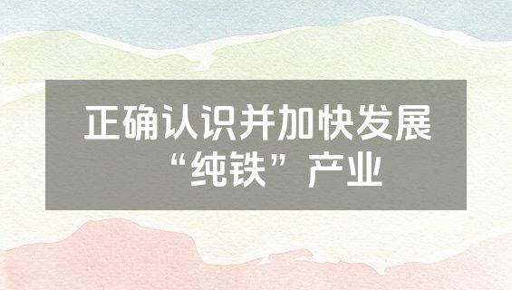 正确认识并加快发展“纯铁”产业