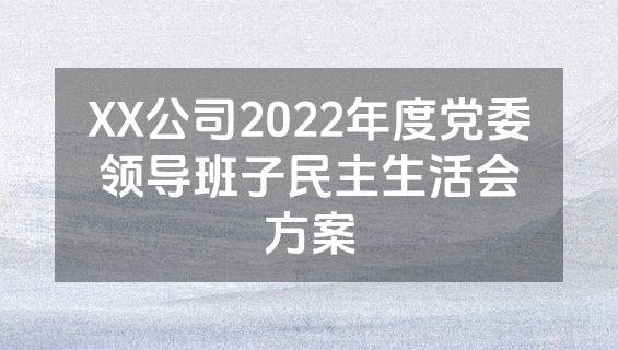 XX公司2022年度党委领导班子民主生活会方案