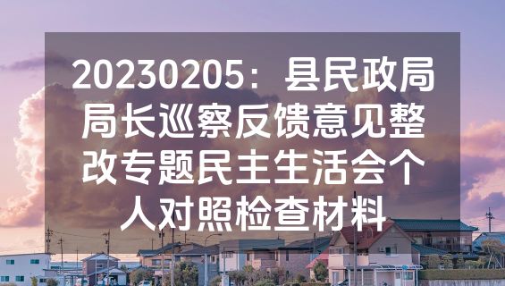20230205：县民政局局长巡察反馈意见整改专题民主生活会个人对照检查材料
