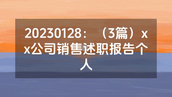 20230128：（3篇）xx公司销售述职报告个人