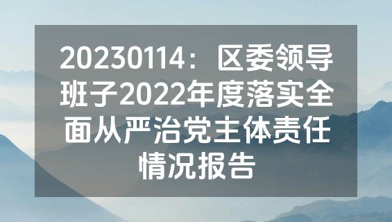 20230114：区委领导班子2022年度落实全面从严治党主体责任情况报告