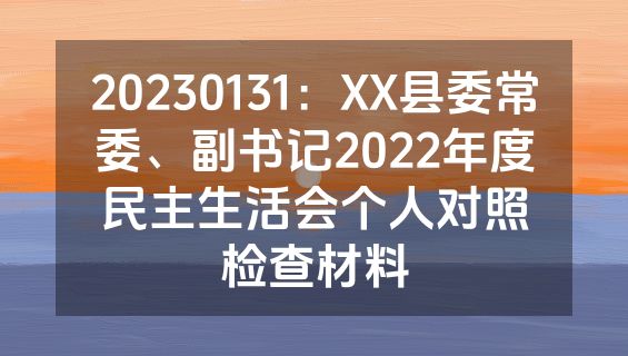 20230131：XX县委常委、副书记2022年度民主生活会个人对照检查材料