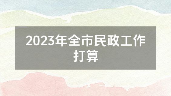 2023年全市民政工作打算