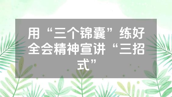 用“三个锦囊”练好全会精神宣讲“三招式”