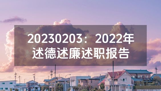 20230203：2022年述德述廉述职报告