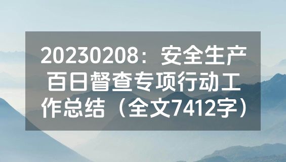 20230208：安全生产百日督查专项行动工作总结（全文7412字）