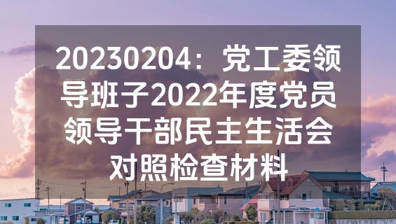 20230204：党工委领导班子2022年度党员领导干部民主生活会对照检查材料