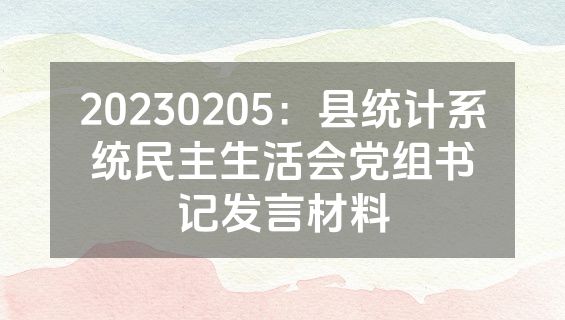 20230205：县统计系统民主生活会党组书记发言材料