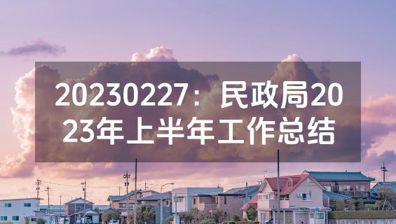 20230227：民政局2023年上半年工作总结