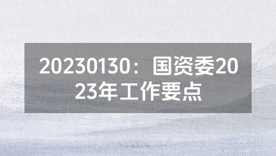 20230130：国资委2023年工作要点