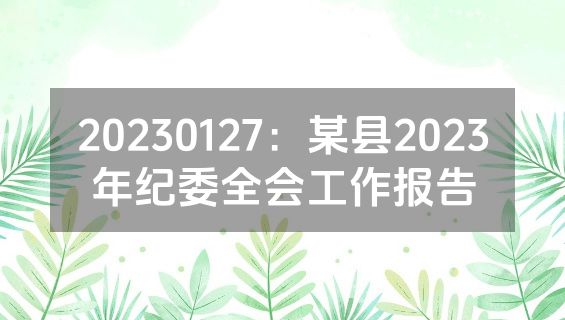 20230127：某县2023年纪委全会工作报告
