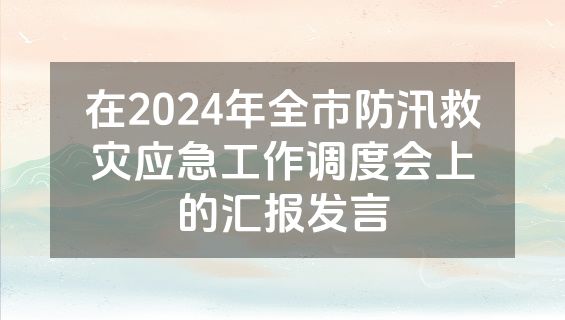 在2024年全市防汛救灾应急工作调度会上的汇报发言