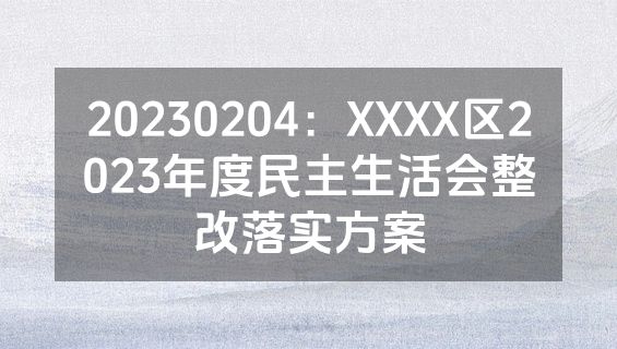 20230204：XXXX区2023年度民主生活会整改落实方案