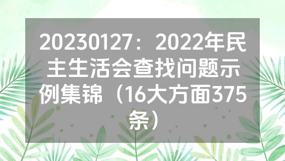 20230127：2022年民主生活会查找问题示例集锦（16大方面375条）