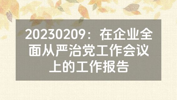 20230209：在企业全面从严治党工作会议上的工作报告