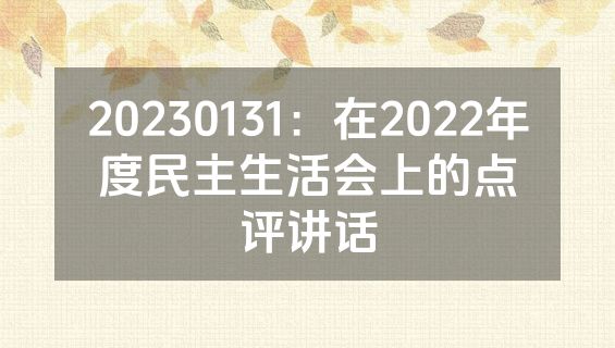 20230131：在2022年度民主生活会上的点评讲话