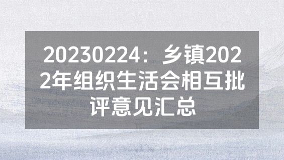 20230224：乡镇2022年组织生活会相互批评意见汇总