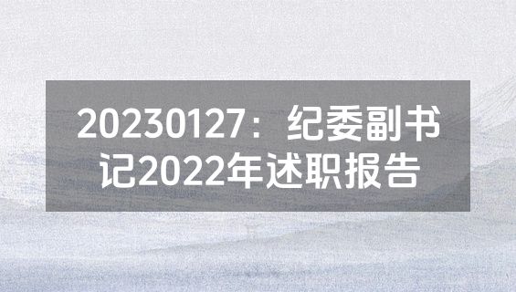 20230127：纪委副书记2022年述职报告