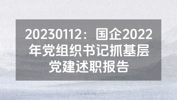 20230112：国企2022年党组织书记抓基层党建述职报告