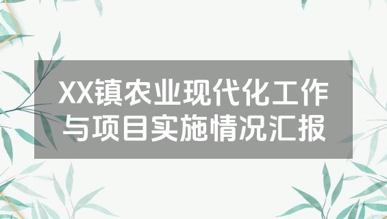 XX镇农业现代化工作与项目实施情况汇报