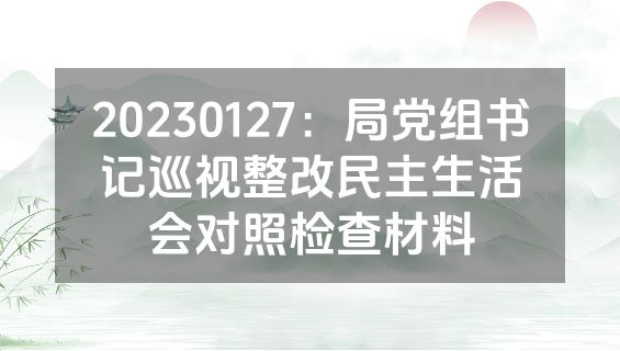 20230127：局党组书记巡视整改民主生活会对照检查材料