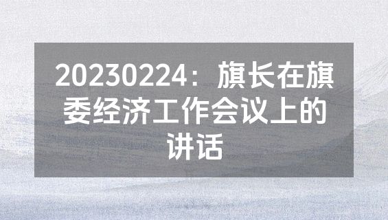 20230224：旗长在旗委经济工作会议上的讲话