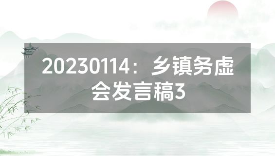 20230114：乡镇务虚会发言稿3