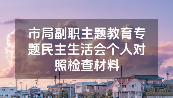 市局副职主题教育专题民主生活会个人对照检查材料