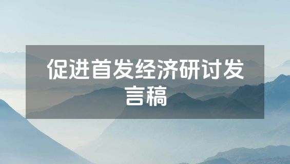 促进首发经济研讨发言稿